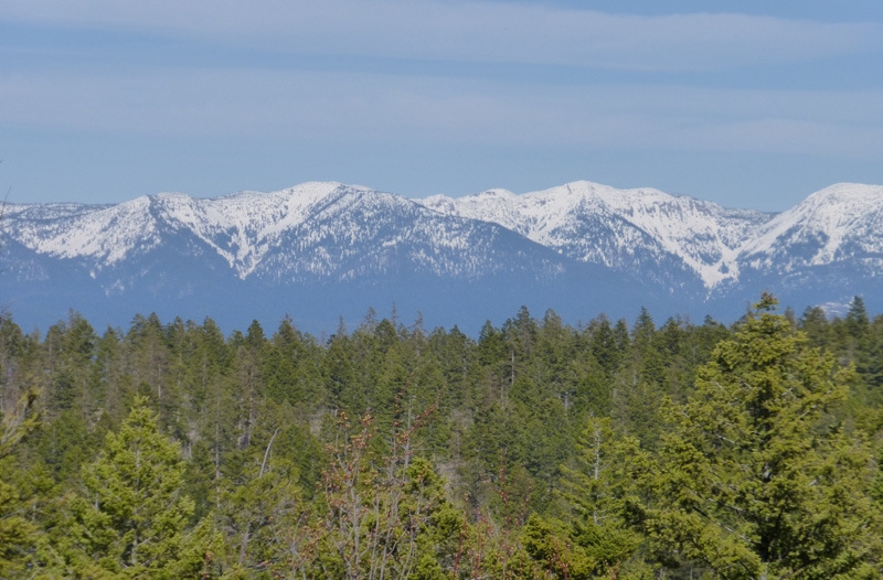 500 Buffalo Trail ( Boon Rd. ),  4 miles west of somers