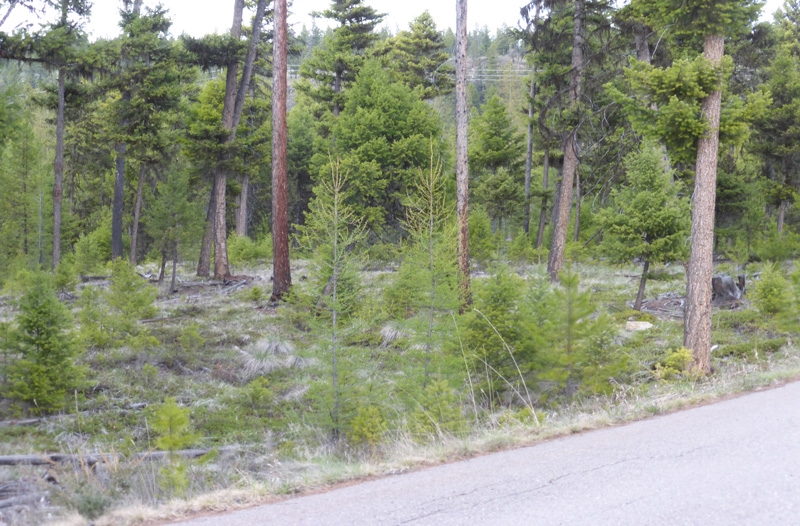 939 Bitterroot Rd. ( Lot 19 ), North Bitterroot Estates Phase 3......North Side of Bitterroot Lake off of Pleasant Valley Rd.